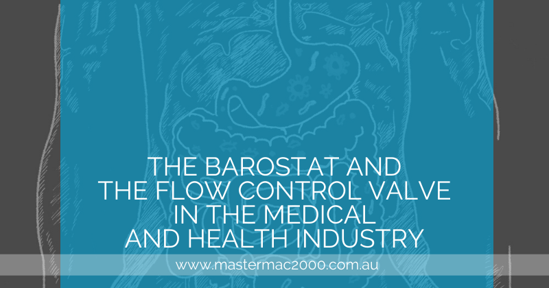 illustration of digestive system